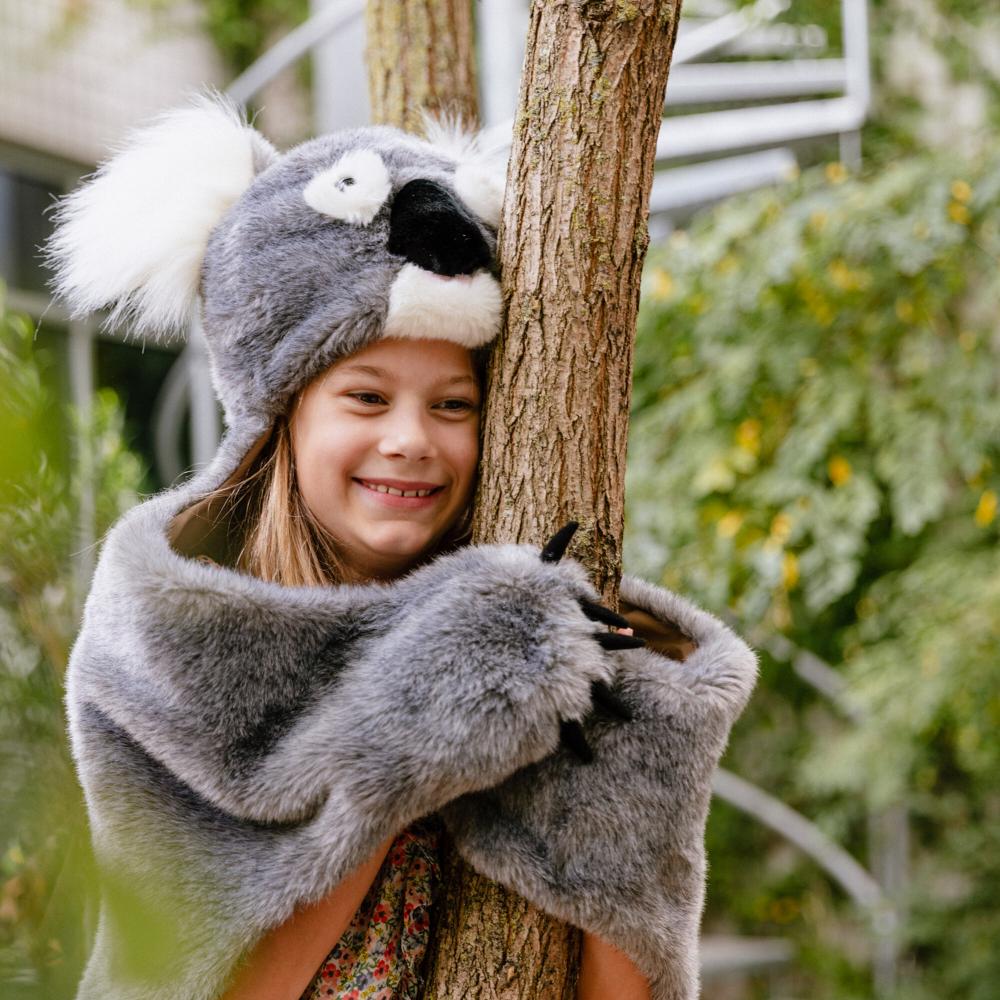 Déguisement en peluche Koala Noah